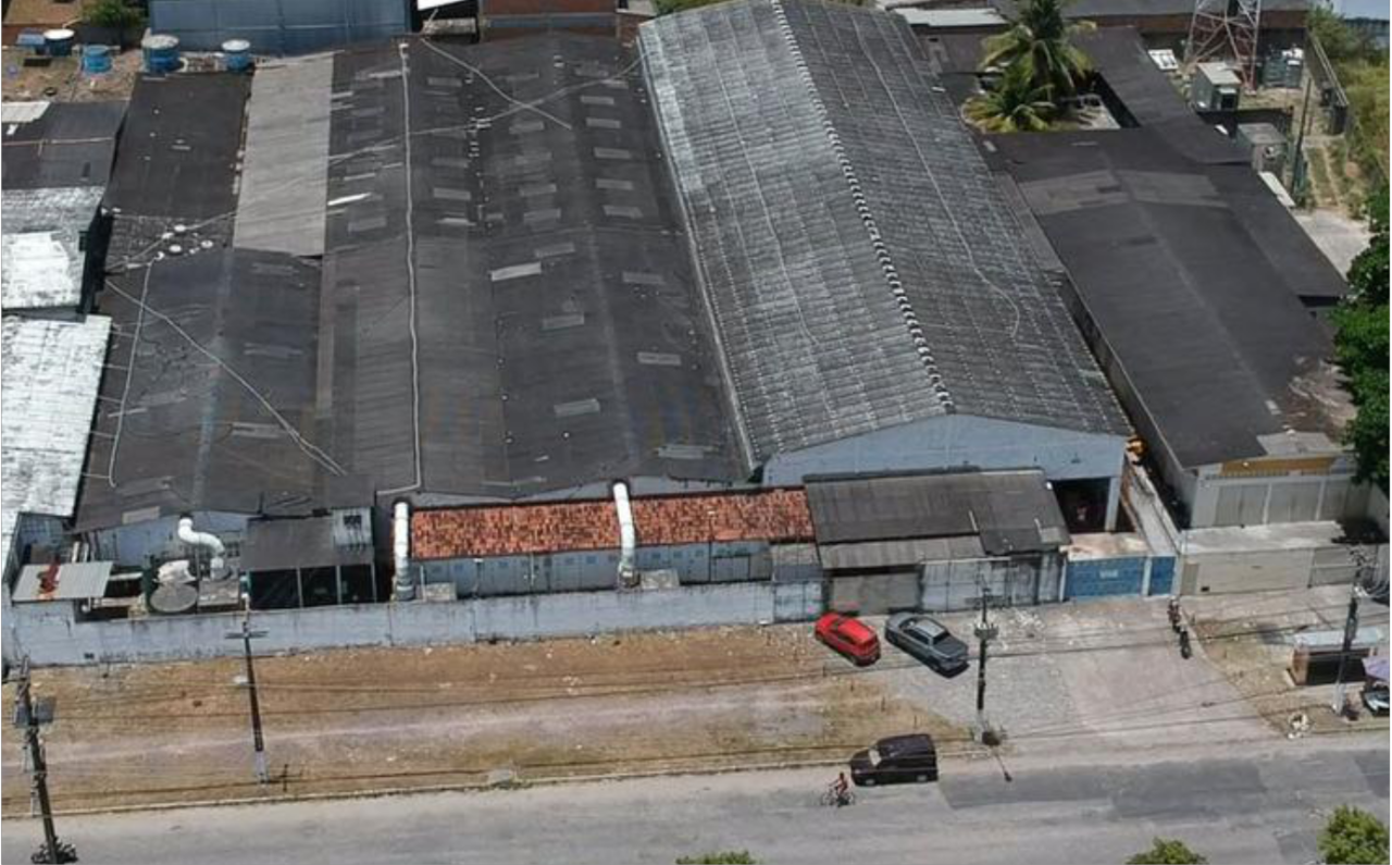 Elaboração de Laudos